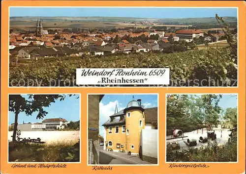 Flonheim Panorama Grund und Hauptschule Rathaus Kinderspielplatz Kat. Flonheim