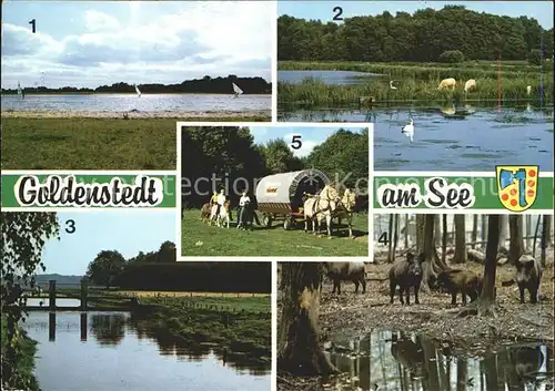 Goldenstedt Badesee Camping Fischteiche Angler Hunte Wildgehege Kinderpension Kuekenhof Pferdekutschfahrt Kat. Goldenstedt