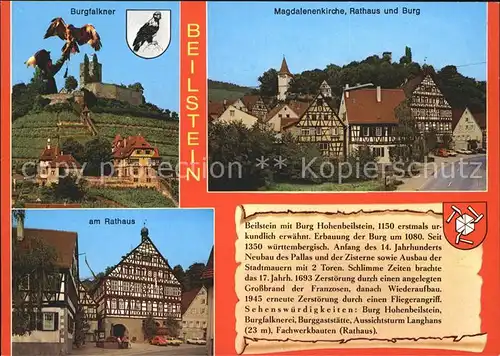 Beilstein Wuerttemberg Burggasstaette Burgfalknerei Kat. Beilstein