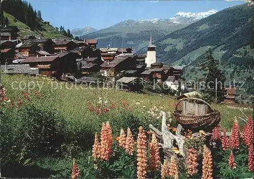 Grimentz Val D Anniviers Blumen  Kat. Grimentz