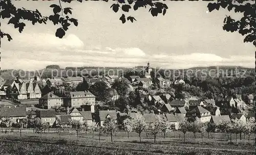 Marienberg Westerwald Gesamtansicht Luftkurort Obstwiese Kat. Bad Marienberg (Westerwald)