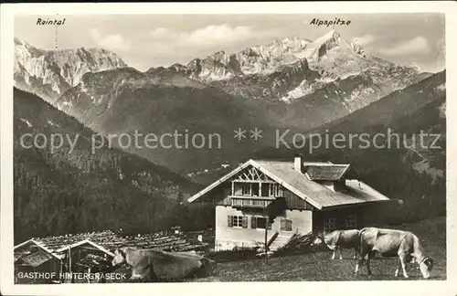 Garmisch Partenkirchen Almwirtschaft Hintergraseck Raintal Alpspitze Kat. Garmisch Partenkirchen