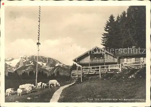 Bad Toelz Waldherr Alm mit Benediktinenwand Kat. Bad Toelz