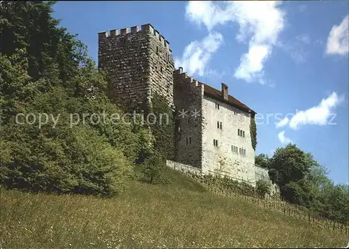 Brugg AG Schloss Habsburg Kat. Brugg