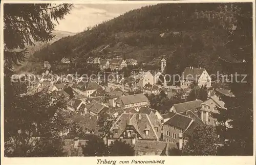 Triberg Schwarzwald Blick vom Panoramaweg Kat. Triberg im Schwarzwald