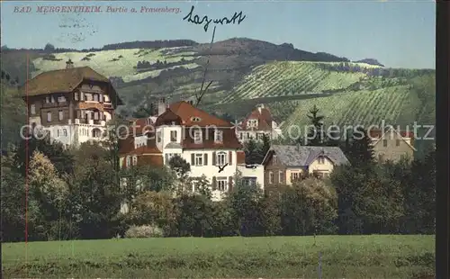 Bad Mergentheim mit Frauenberg Kat. Bad Mergentheim