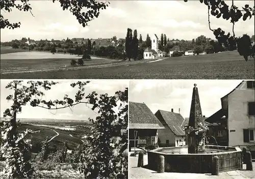 Blansingen Panorama Markgraefler Weinort Brunnen Kat. Efringen Kirchen