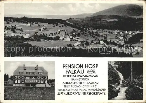 Falkau Panorama Pension Villa Hosp Wasserfall Luftkurort Wintersportplatz Kat. Feldberg (Schwarzwald)