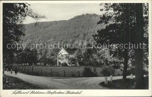 Hiddesen Oberfoersterei Heidental Luftkurort Kat. Detmold