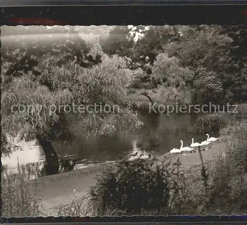 Oberhausen Stadtpark Kat. Oberhausen