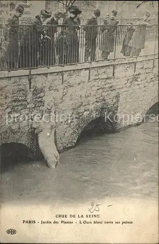 Paris Crue de la Seine Inondations Janvier 1910 Jardin des Plantes Hochwasser Katastrophe Kat. Paris