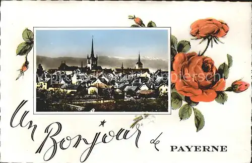 Payerne Rosenblume Kat. Payerne