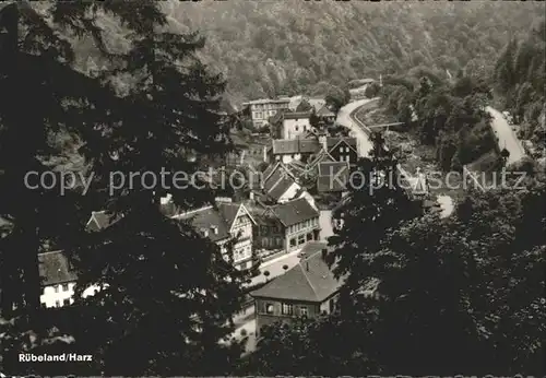 Ruebeland Harz Blick ins Tal / Elbingerode Harz /Harz LKR