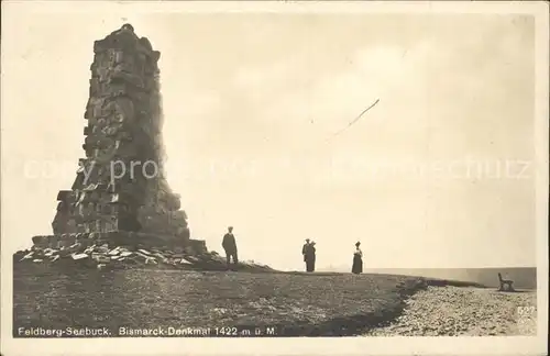 Feldberg Schwarzwald Seebuck Bismarckdenkmal Kat. Feldberg (Schwarzwald)