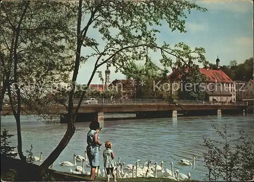 Landsberg Lech Karolinenbruecke Schwaene Kat. Landsberg am Lech