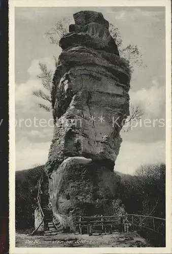 Schoenau Pfalz Blumenstein Felsen Kat. Schoenau (Pfalz)