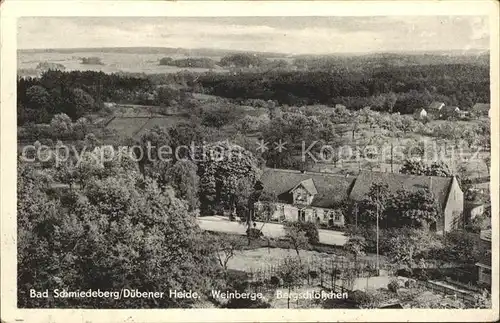 Bad Schmiedeberg Weinberge Bergschloesschen / Bad Schmiedeberg Duebener Heide /Wittenberg LKR