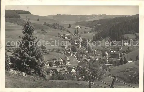 Guetenbach  / Guetenbach /Schwarzwald-Baar-Kreis LKR