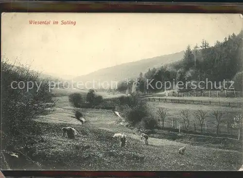 Holzminden Weser Wiesental im Solling Kat. Holzminden