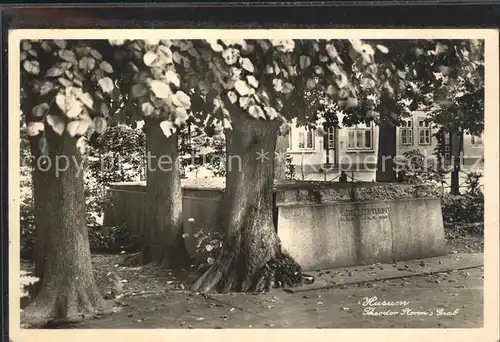 Husum Nordfriesland Theodor Storms Grabstaette / Husum /Nordfriesland LKR