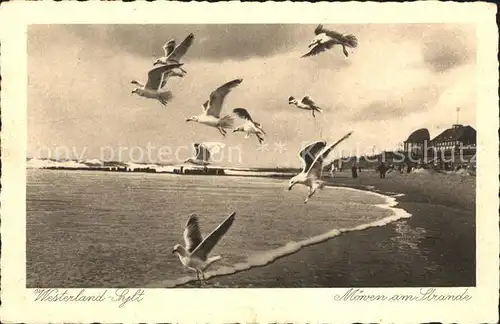 Westerland Sylt Moewen Strand Kat. Westerland