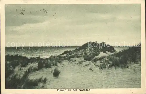 Sueddorf Amrum Nordseebad Duenen an der Nordsee Kat. Nebel