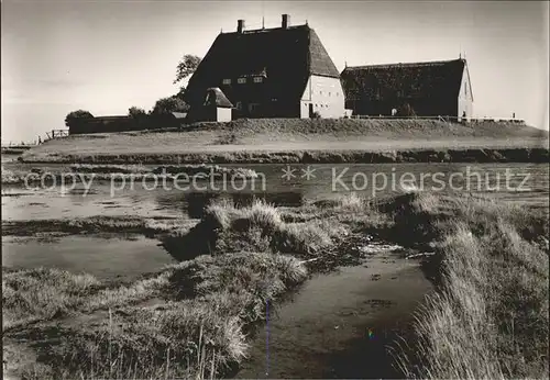 Hallig Hooge Kirchwarft Kat. Hooge