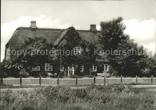 Wenningstedt Sylt Dorfteich Kat. Wenningstedt Braderup (Sylt)