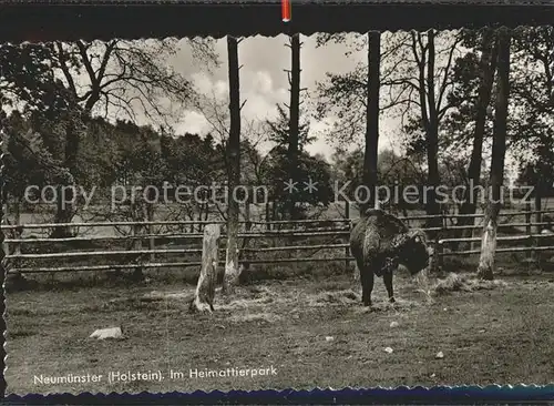 Neumuenster Schleswig Holstein Heimattierpark Kat. Neumuenster