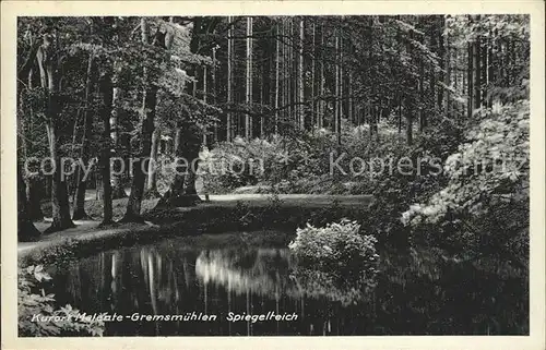 Malente Gremsmuehlen Spiegelteich Kat. Malente