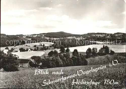 Vogelsgruen Blick von Auerbach Brunn Kat. Auerbach