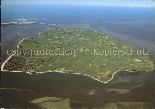 Wyk Foehr Fliegeraufnahme Insel Amrum Insel Sylt Kat. Wyk auf Foehr