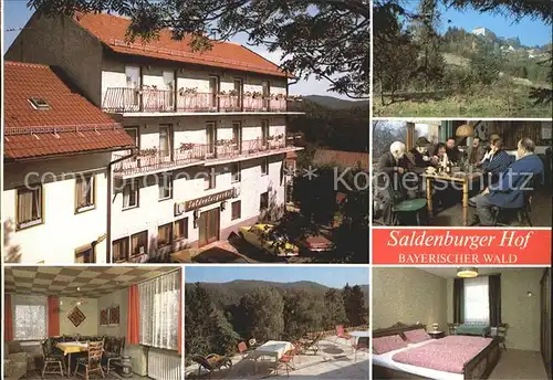 Saldenburg Hotel Pension Saldenburger Hof Kat. Saldenburg