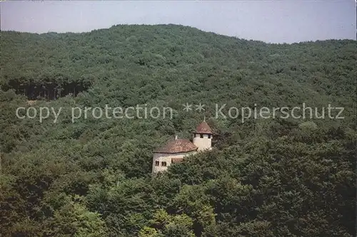 Arlesheim Burg Reichenstein Fliegeraufnahme Kat. Arlesheim