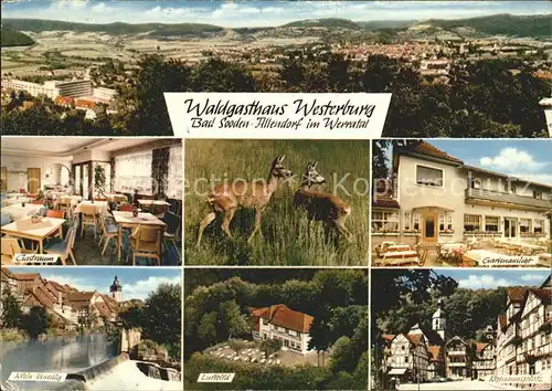 Bad Sooden Allendorf Waldgasthaus Westerburg Kat. Bad Sooden Allendorf