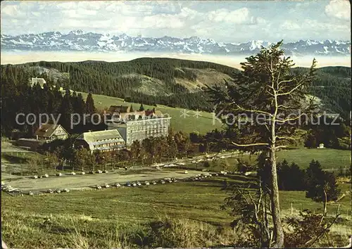 Feldberg Schwarzwald Hotel Feldbergerhof Kat. Feldberg (Schwarzwald)