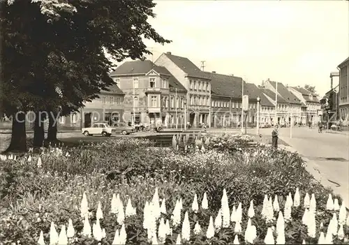 Luebbenau Spreewald Hauptstrasse Kat. Luebbenau