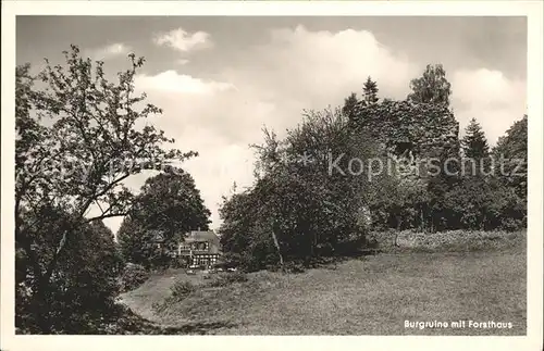 Limberg Wies Burgruine Forsthaus Kat. Limberg bei Wies