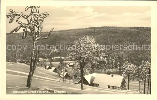 Holzhau Rechenberg Bienenmuehle  Kat. Rechenberg Bienenmuehle