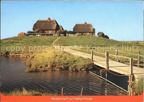 Hallig Hooge Westerwarft Kat. Hooge