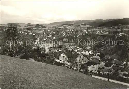 Sebnitz Panorama Kat. Sebnitz