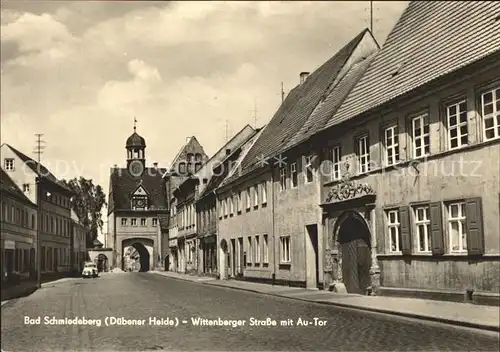 Bad Schmiedeberg Wittenberger Strasse mit Au Tor Kat. Bad Schmiedeberg Duebener Heide