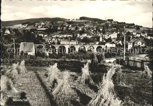 Sebnitz Viadukt Panorama Kat. Sebnitz