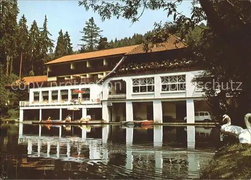 Freudenstadt Hotel Cafe Langenwaldsee Schwan Schwarzwald Kat. Freudenstadt