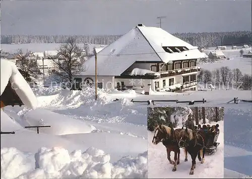 Besenfeld Hotel Gasthof Pferdekoppel Unterwiesenhof Pferdeschlitten Winterpanorama Kat. Seewald