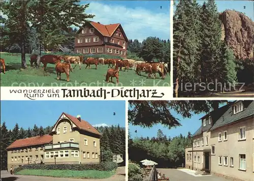 Tambach Dietharz Wanderziele Rund um Tambach Falkenstein Berghotel Ebertswiese Kat. Tambach Dietharz