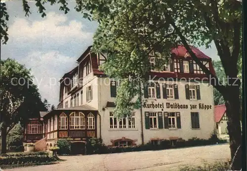 Bad Klosterlausnitz Kurhotel Waldhaus zur Koeppe Kat. Bad Klosterlausnitz