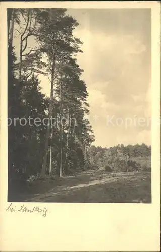 Aurich Ostfriesland Wald Kat. Aurich