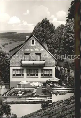 Willingen Sauerland Haus am Walde Kat. Willingen (Upland)