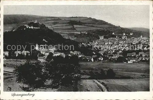 Spangenberg Hessen Gesamtansicht mit Jagtschloss Kat. Spangenberg